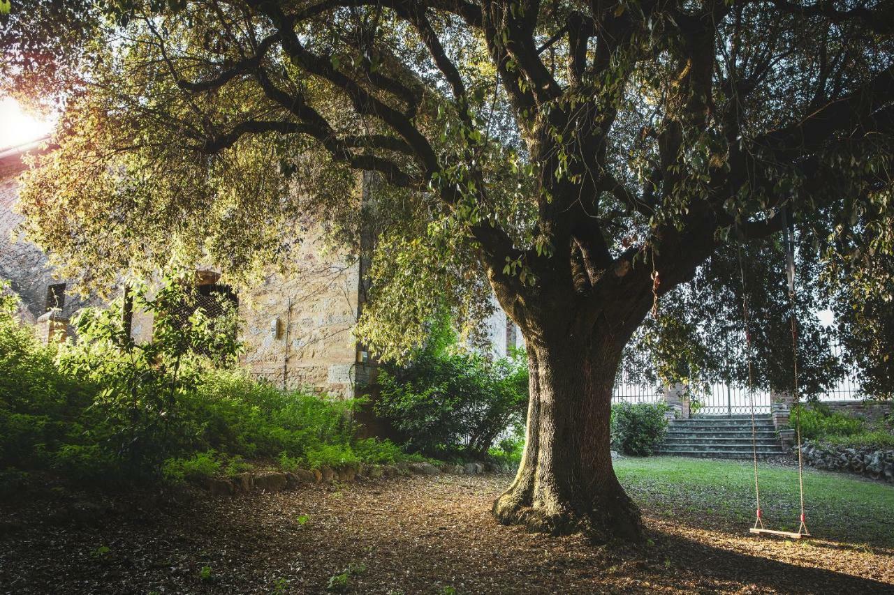 Villa Cosona Pienza Exterior foto